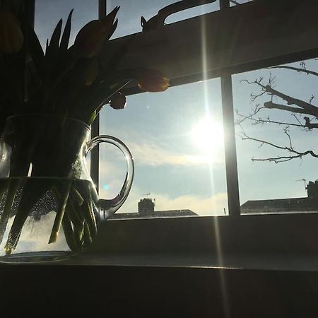 Brighton Boutique Garden Studio With Free Parking Екстериор снимка