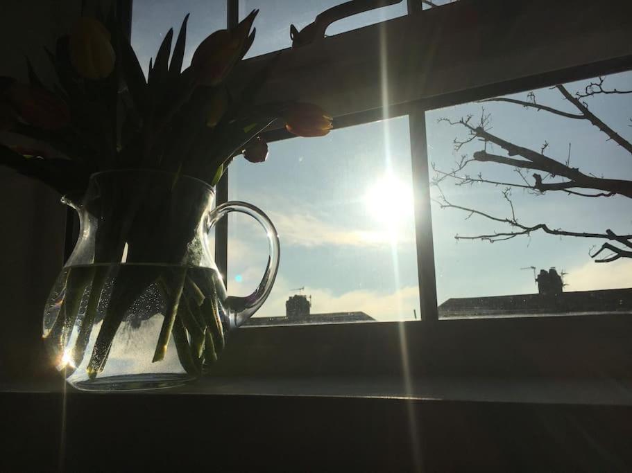 Brighton Boutique Garden Studio With Free Parking Екстериор снимка